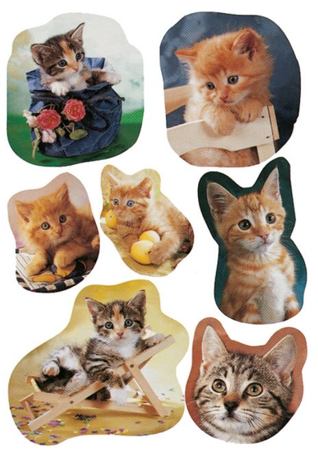 Hovedbilde DECOR Stickers Fotogene kattepus papir, 3 ark (10 ...