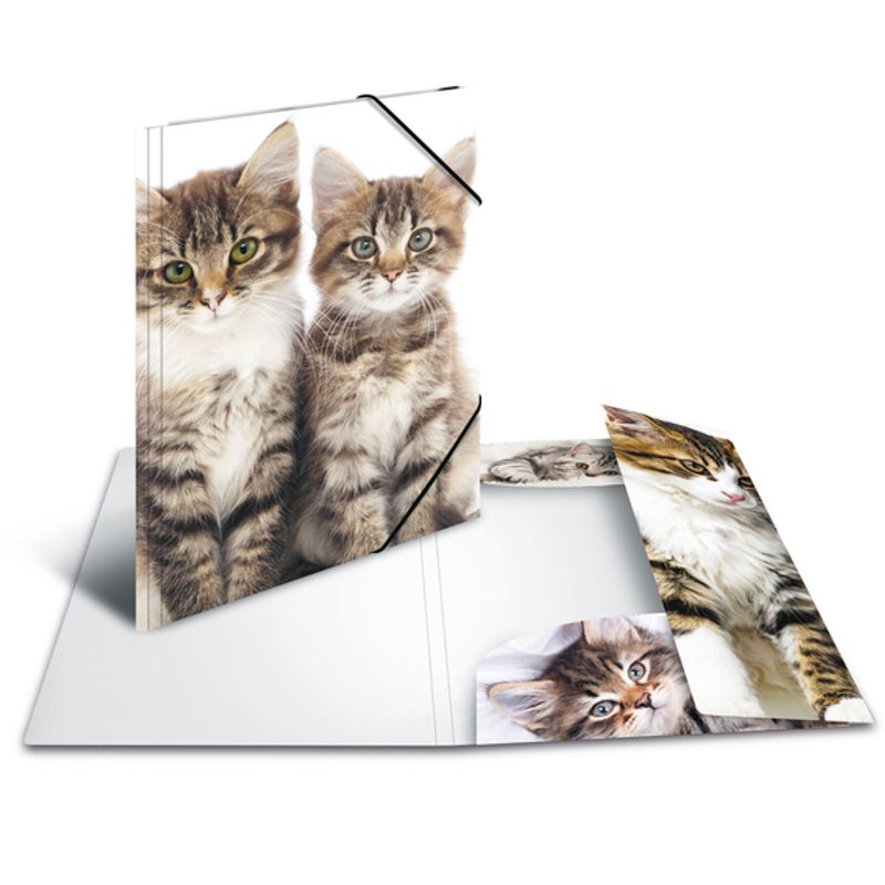 HERMA strikkmappe i plastmateriale, A4, Dyr, Katt (3 pakk)