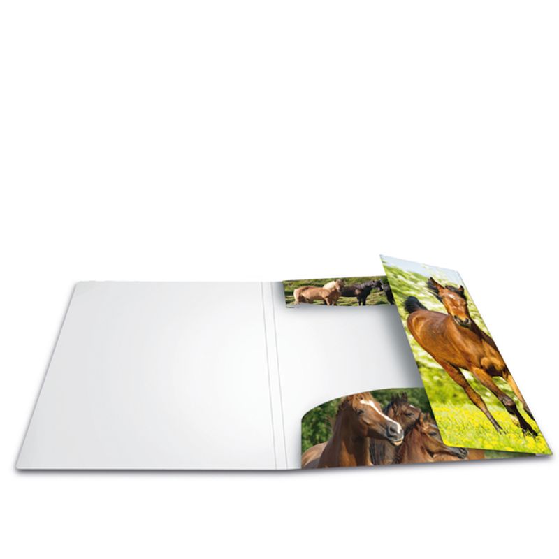 HERMA strikkmappe i plastmateriale, A4, Dyr, Hest (3 pakk)